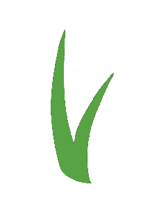 ForeverLawn Minnesota Inc.