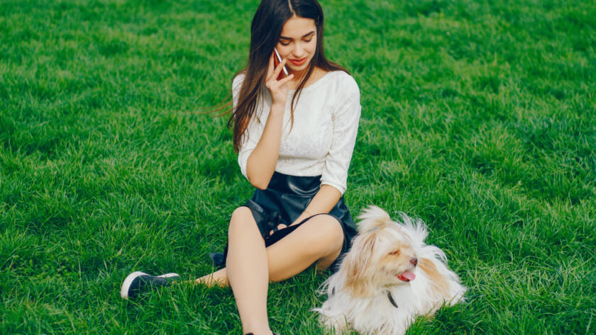 pet turf