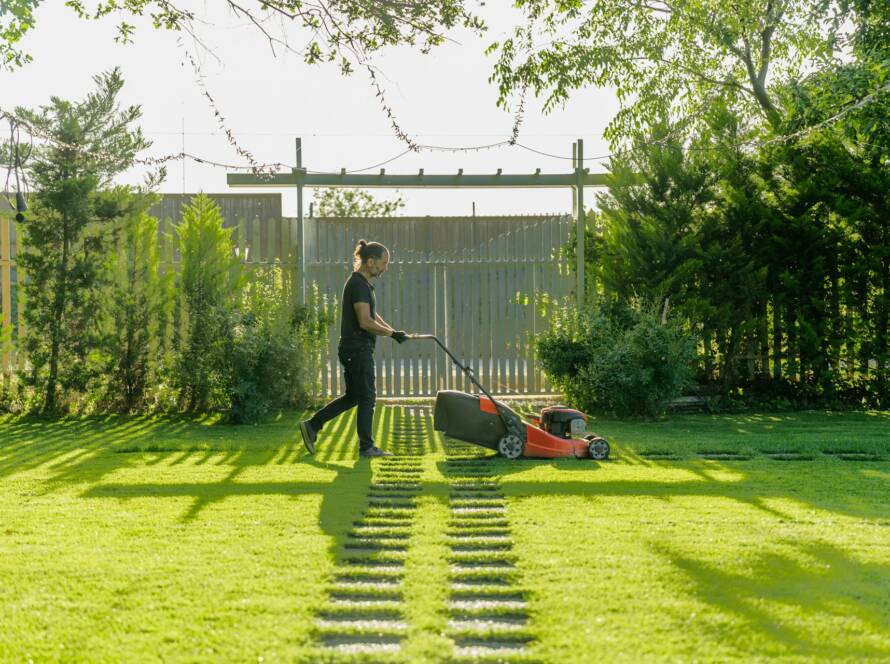 Installing a Backyard